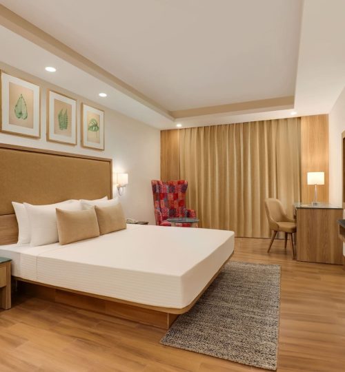 664b33e823a87Deluxe King Room