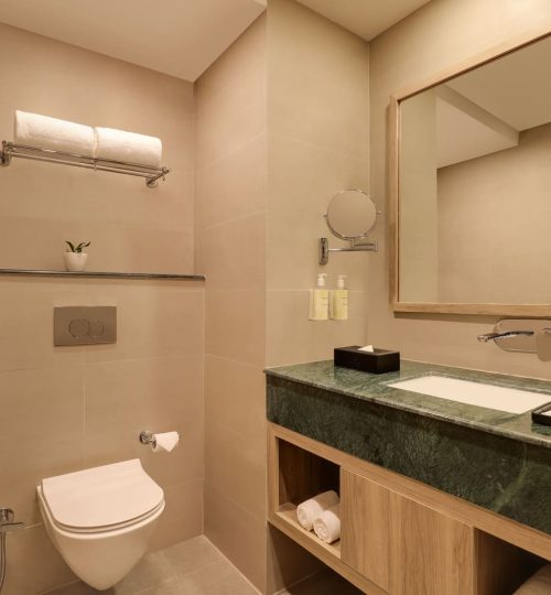 664b340a34ee7Deluxe King Room Washroom